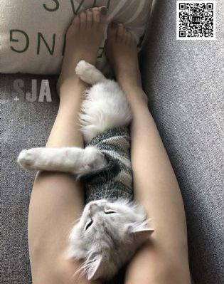 出轨的味道在线观看