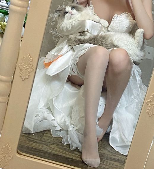 电视剧狂飙免费观看