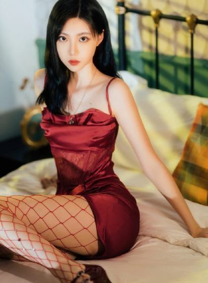 汪汪队立大功十季免费版
