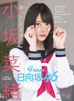 新91视频网