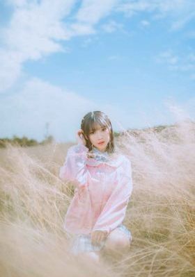 王者荣耀女英雄被c